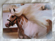 HORSE SWAP CARD~MODERN