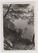 photo ancienne 🎞️ sentier