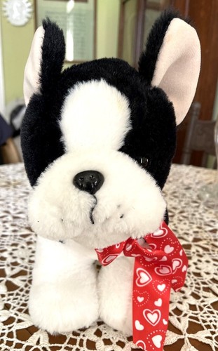 Puppy love boston terrier - love, m