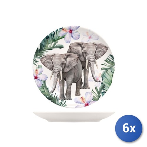 Assiettes plates exotiques - 6x,