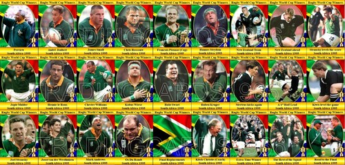 South africa 1995 rugby union - south,