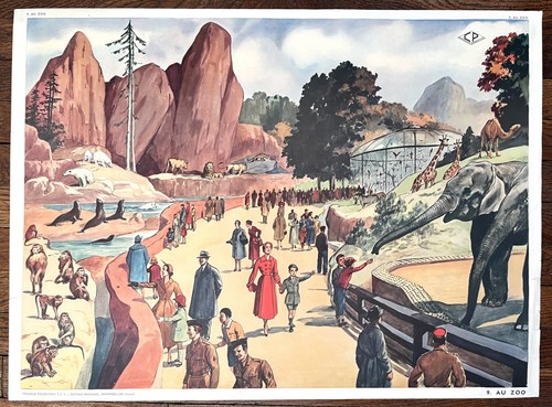 Ancienne affiche scolaire - 🐘,