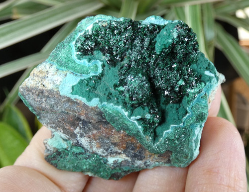 Malachite botryoïdale