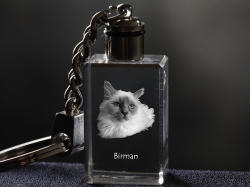 Sacré birmanie - sacré,