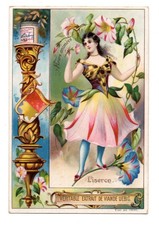 CHROMO LIEBIG SERIE Fleurs