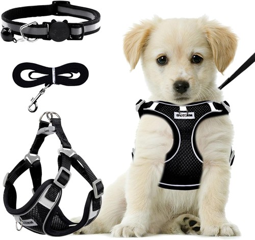 Harnais chien réglable gilet - harnais,
