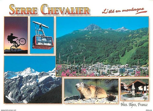Carte postale serre - postale,