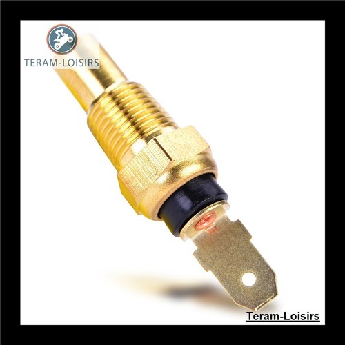 Sonde thermostat radiateur - thermostat,