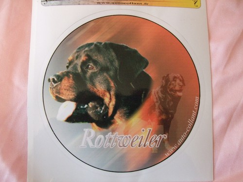 Autocollant motif chien - autocollant,