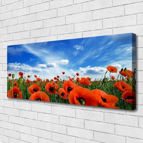 Impression sur toile image - sur,