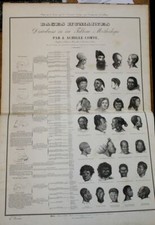 CUVIER ; COMTE (Achille)