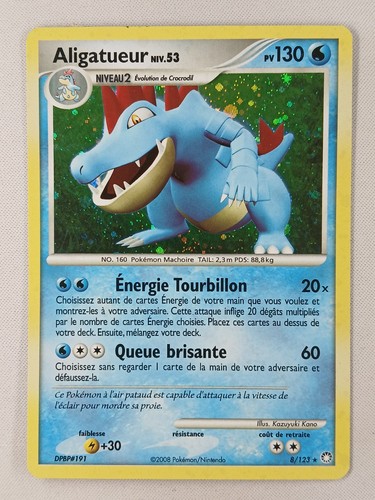 Carte pokémon holo - fr,