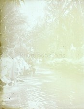 TUNISIE Tozeur Nefta Oasis, Photo Stereo Vintage Plaque Verre VR7L1