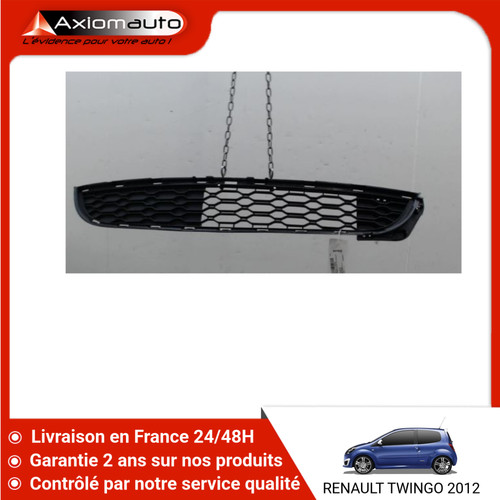 Grille pare choc - 🇫🇷, pare-choc