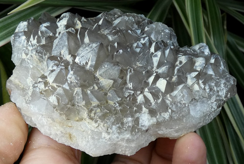 Quartz fumé neigé beauvoir - quartz,