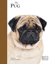 Pug - Best of Breed, Nancy