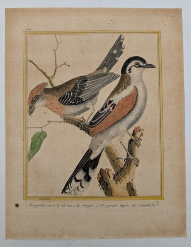 Gravure originale - ,