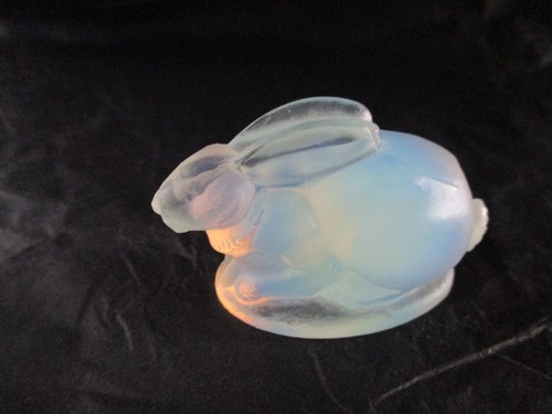 Sabino lapin opalescent - , signé
