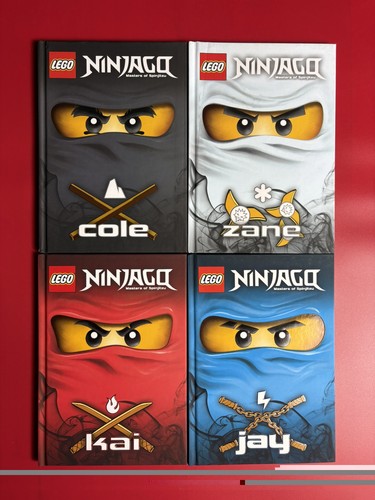 Lot livres lego ninjago - lot,