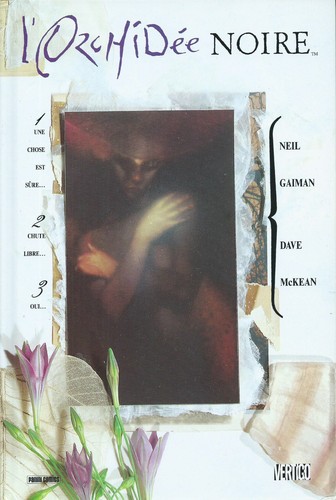 Orchidée noire panini - l'orchidée,