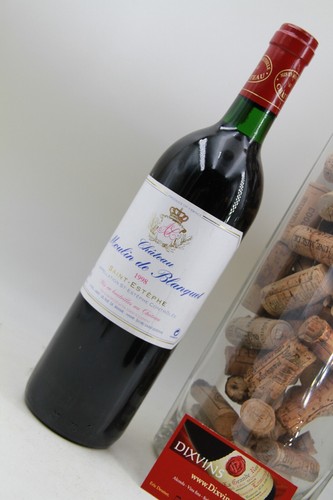 Chateau moulin blanquet - chateau,