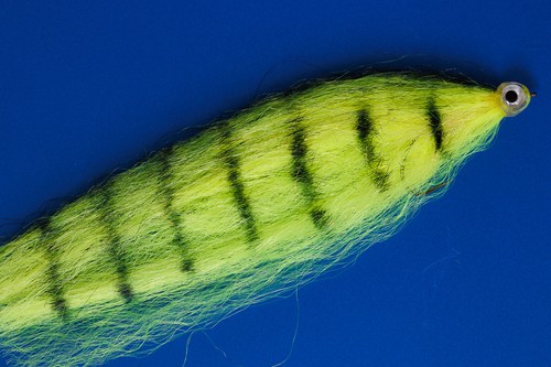 Fishskull streamer pour - fishskull,