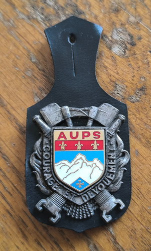 Insigne sapeurs pompiers aups - sapeurs,