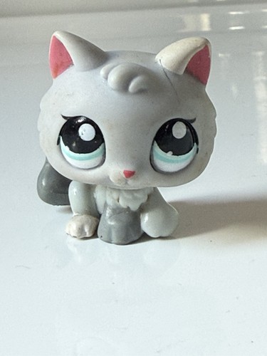 Petshop chaton chat - ,