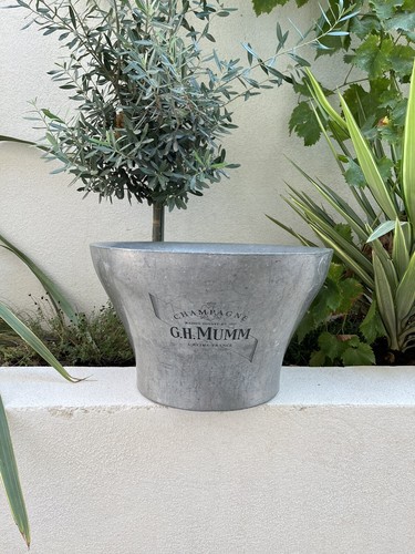 Vasque champagne mumm - g.h.,
