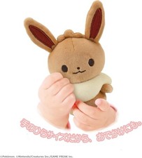 Peluche peluche Pokemon