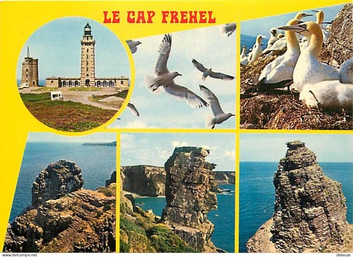Carte postale le cap - -,