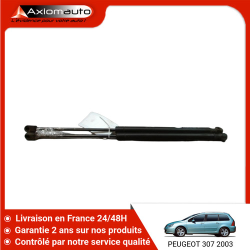 Verin hayon g peugeot - 🇫🇷,