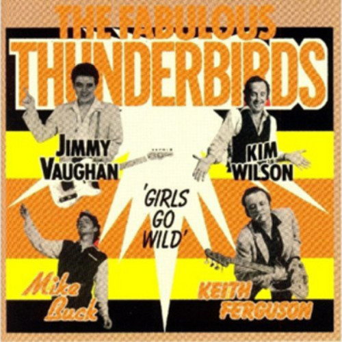 The fabulous thunderbirds - the,