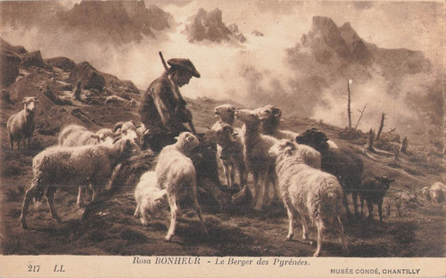 Tableau berger des - tableau, pyrenees