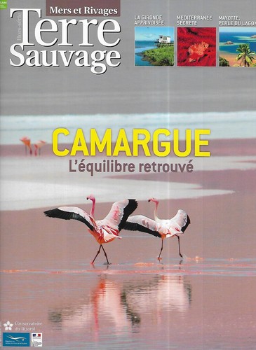Terre sauvage mers rivages - terre,