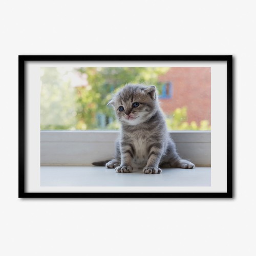 Tulup photo salon 60x40cm - salon,
