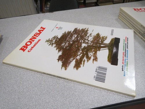 Ca111 bonsai creation - ca111,
