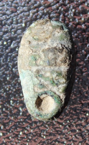 Ant nose chinese - bronze, coin
