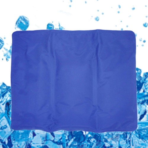 Poche glace réutilisable - poche, de