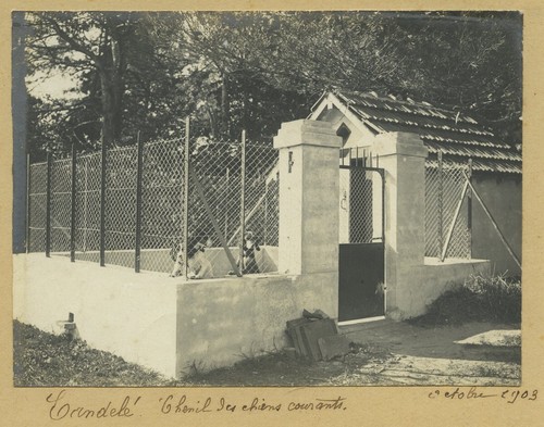 Haute garonne candelé - haute-garonne.,