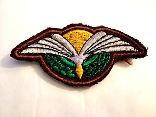 Insigne brevet tissu tireur - brevet,