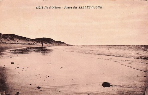 Ile oleron la plage - 17,