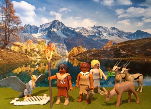 Playmobil préhistoire homme - playmobil,