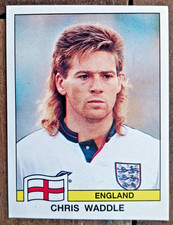 Cartes De Football Panini