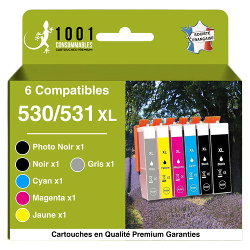 Pack cartouches encre - 6, d