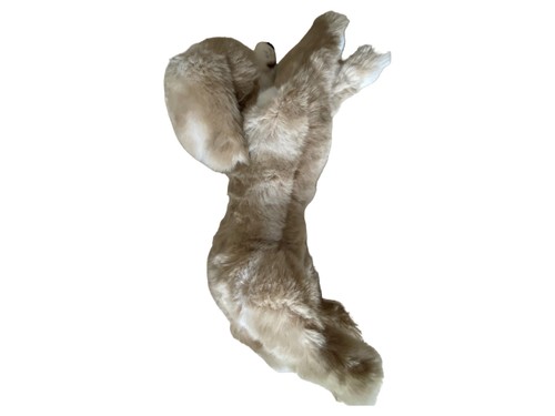 Steiff peluche chien beige - peluche,