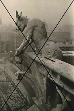  curiosité , oddities : photo " gargouille de Notre Dame"