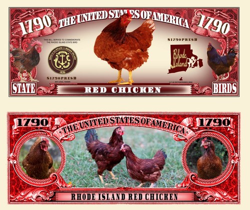 Poule rouge rhode island - rouge, de