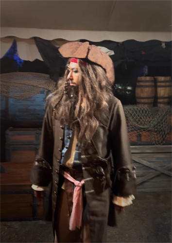Halloween adult jack sparrow - jack,