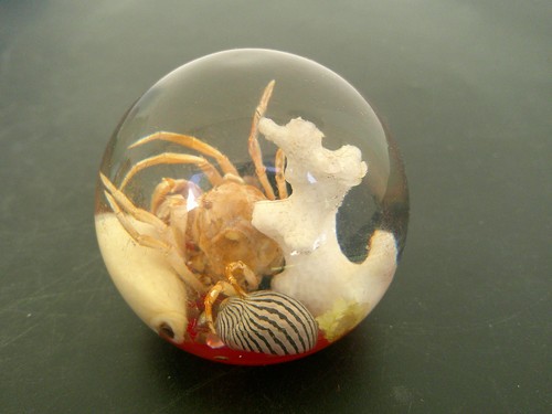 Boule resine inclusions - resine,
